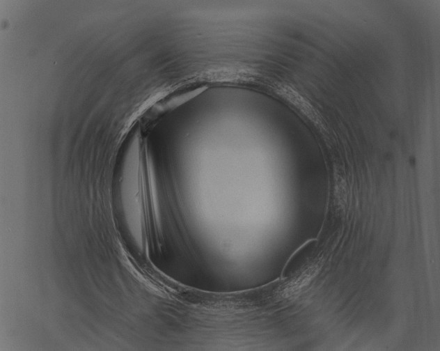 X0000062630530200601111102