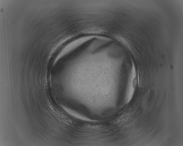 X0000062630531200601111102