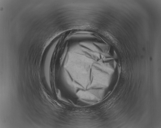 X0000062630532200601111102