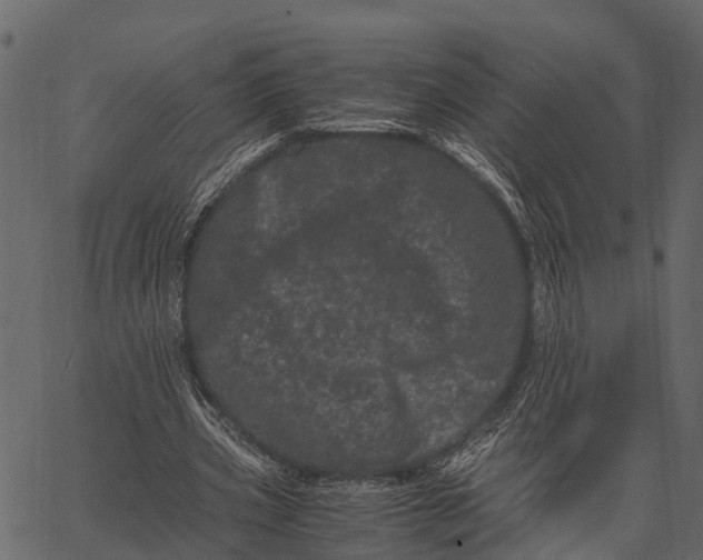 X0000062630533200601111102