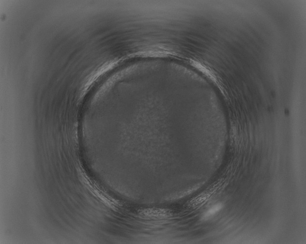 X0000062630535200601111102