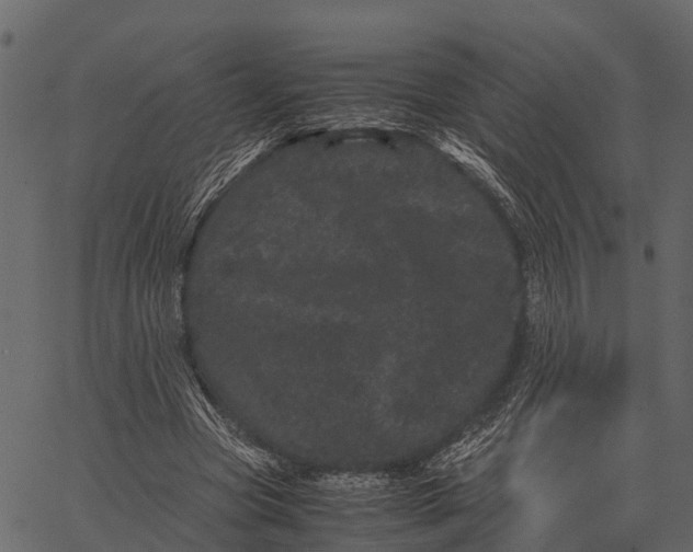 X0000062630537200601111102