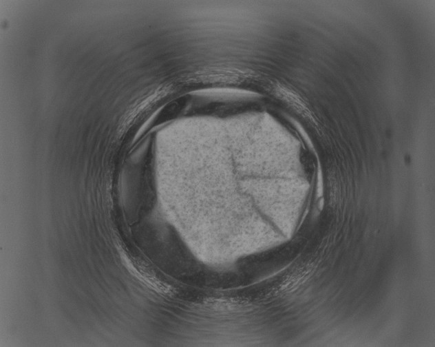 X0000062630538200601111102