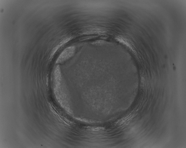 X0000062630539200601111102