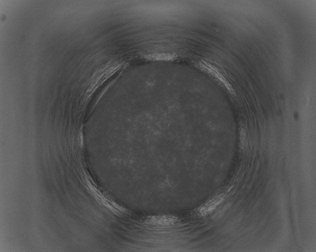 X0000062630541200601111102