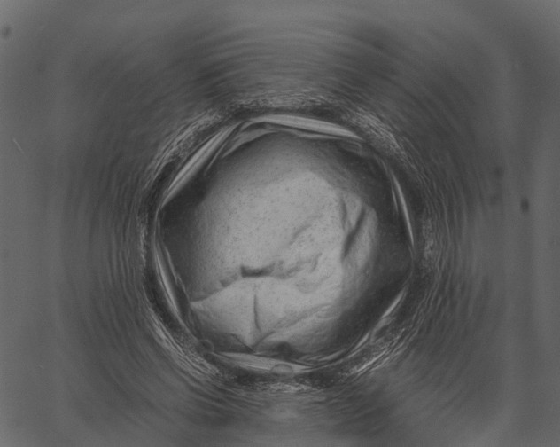 X0000062630542200601111102