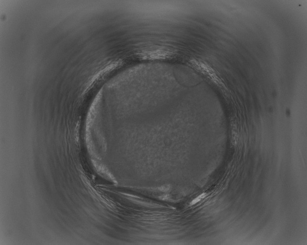 X0000062630543200601111102