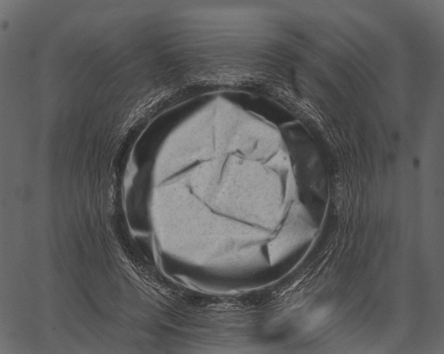 X0000062630544200601111102