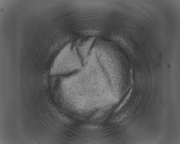 X0000062630545200601111102