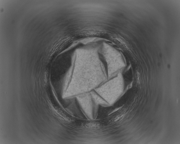 X0000062630546200601111103