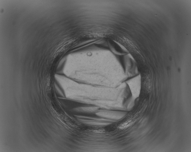 X0000062630548200601111103