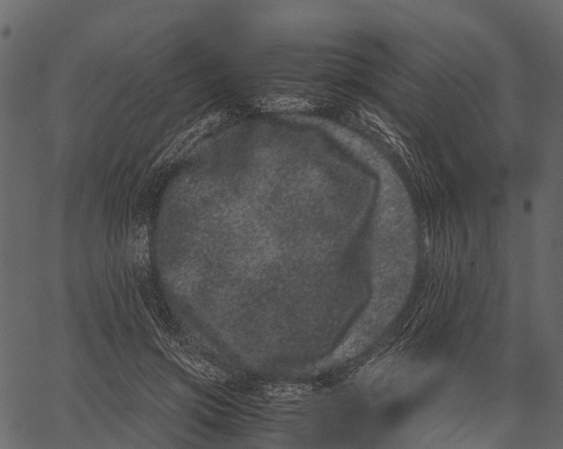 X0000062630549200601111103