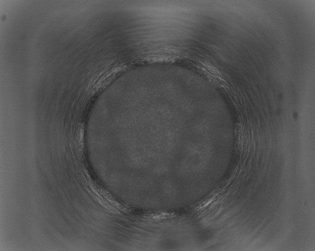 X0000062630550200601111103