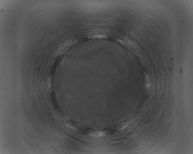 X0000062630551200601111103