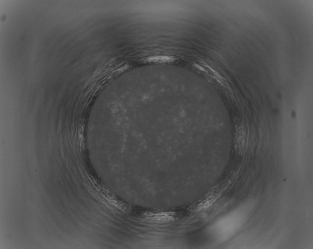 X0000062630553200601111103