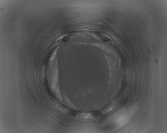 X0000062630554200601111103