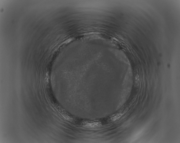 X0000062630555200601111103