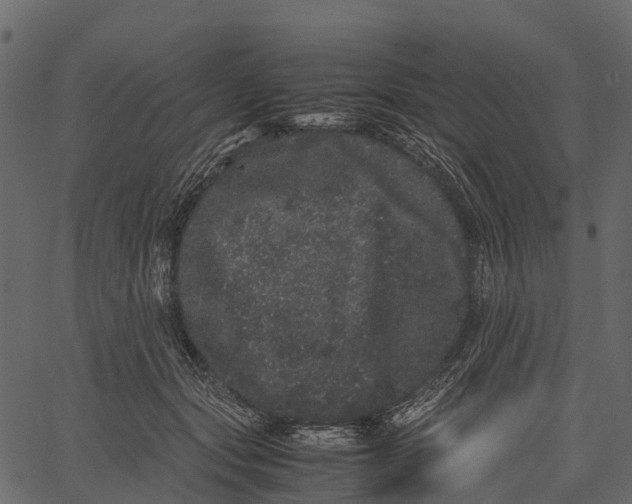 X0000062630557200601111103