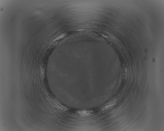 X0000062630558200601111103