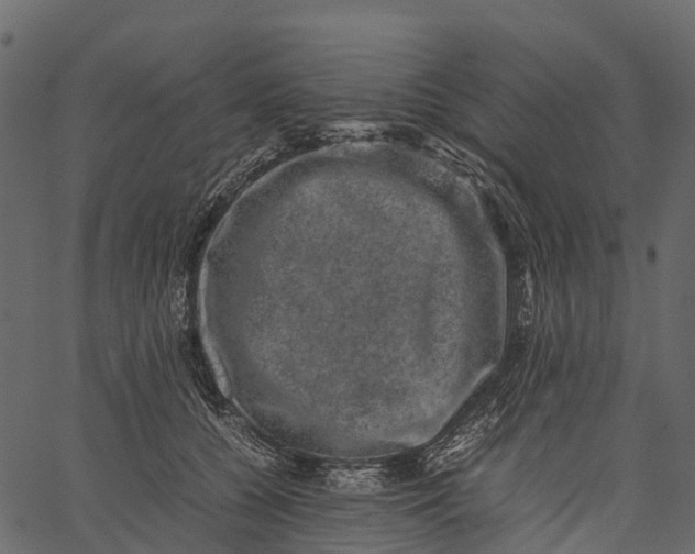 X0000062630560200601111103