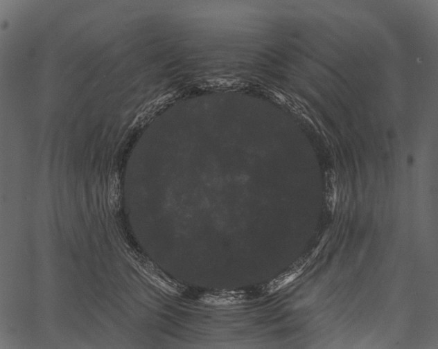 X0000062630563200601111103