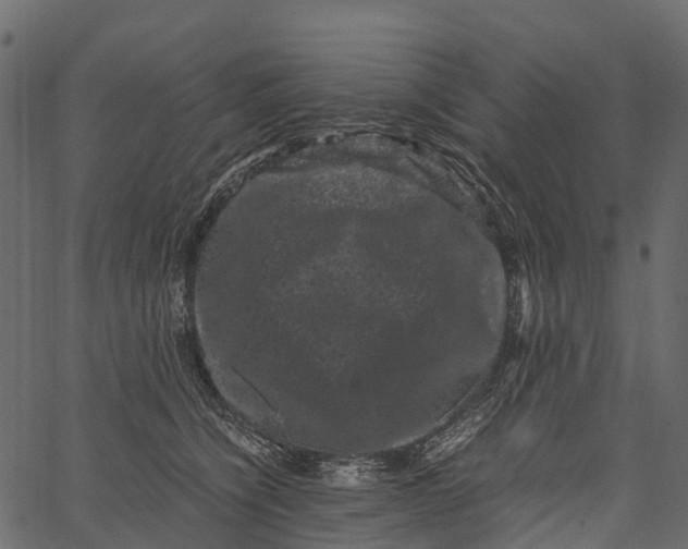 X0000062630564200601111103