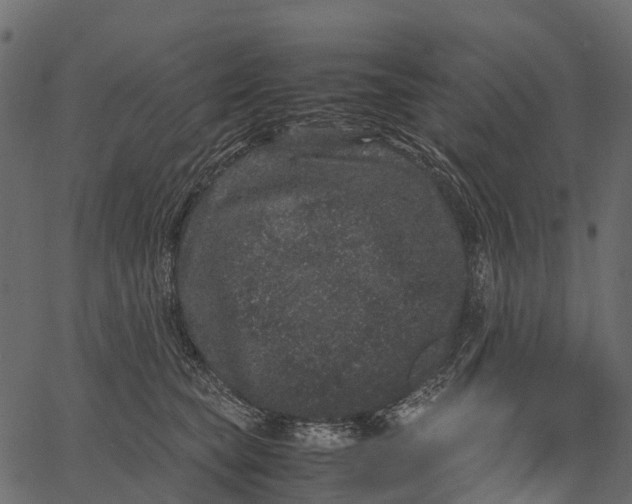 X0000062630565200601111103