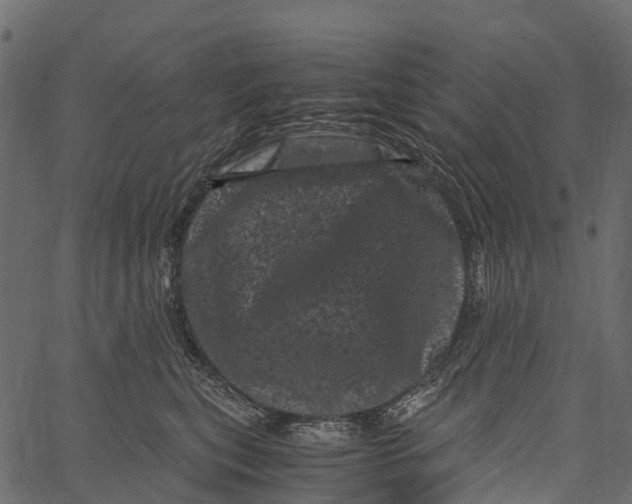 X0000062630567200601111103