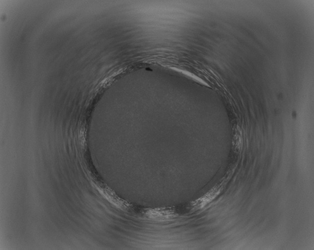 X0000062630568200601111103