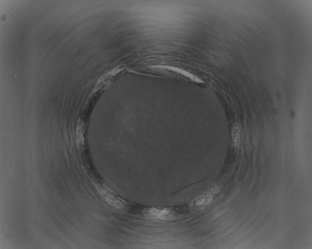 X0000062630570200601111103