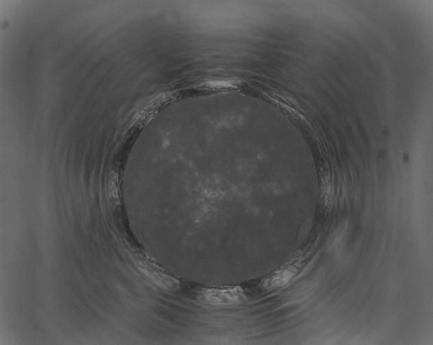 X0000062630571200601111103