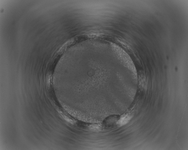 X0000062630574200601111103