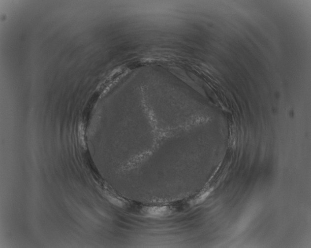 X0000062630575200601111103