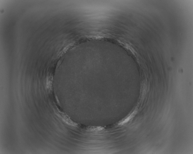 X0000062630576200601111103