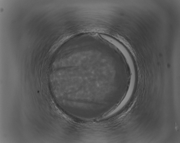 X0000062630577200601111102