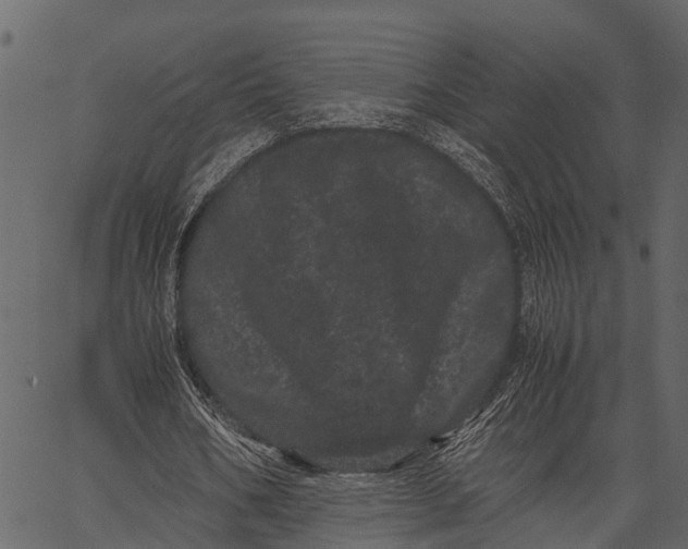 X0000062630578200601111102