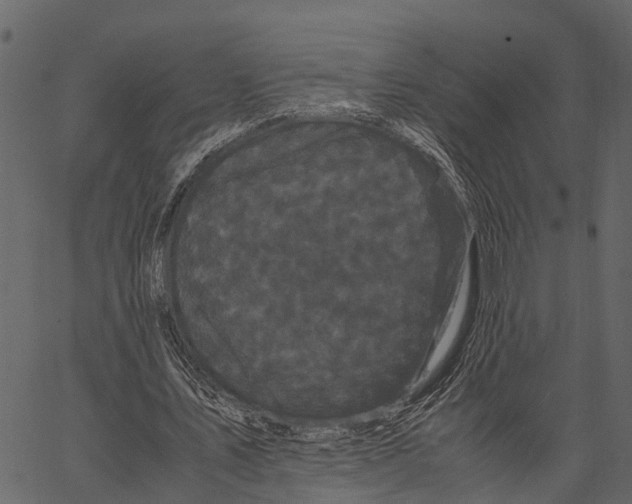 X0000062630579200601111102