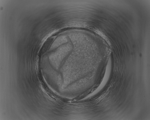 X0000062630580200601111102