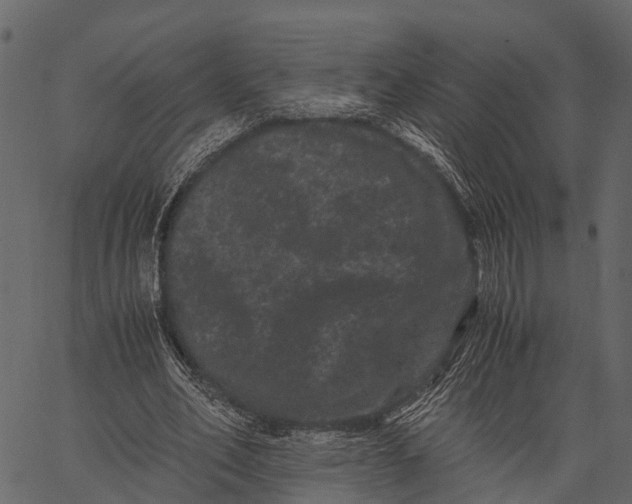 X0000062630582200601111102