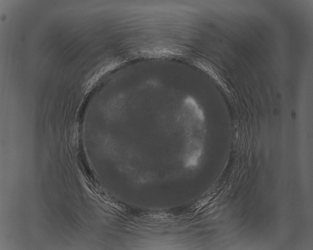 X0000062630583200601111102