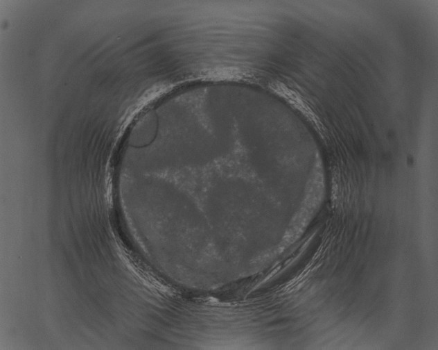 X0000062630584200601111102