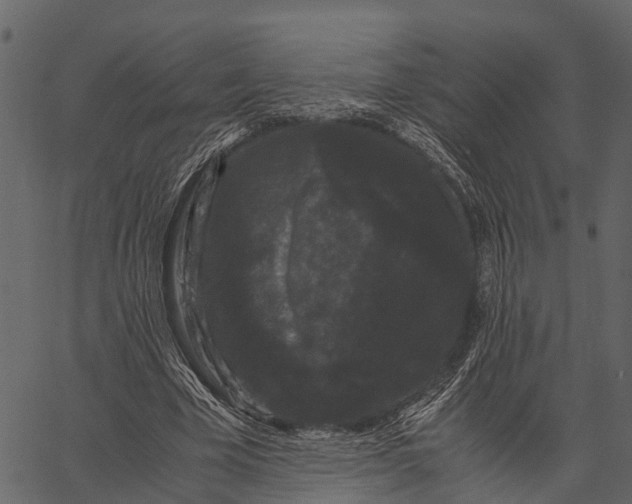 X0000062630585200601111102