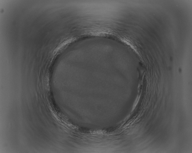 X0000062630587200601111102