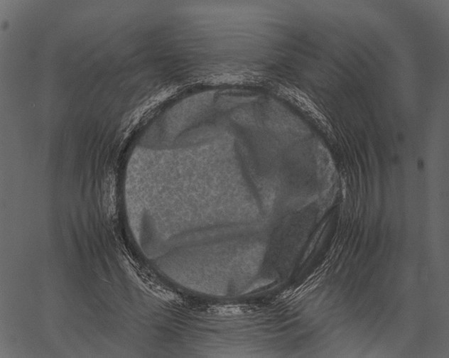 X0000062630588200601111102