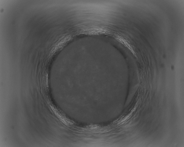 X0000062630589200601111102