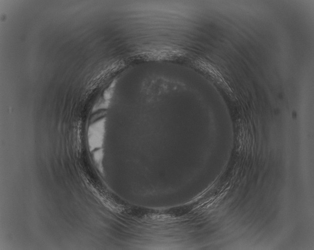 X0000062630590200601111102