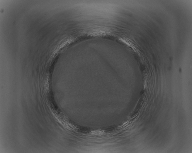 X0000062630591200601111102