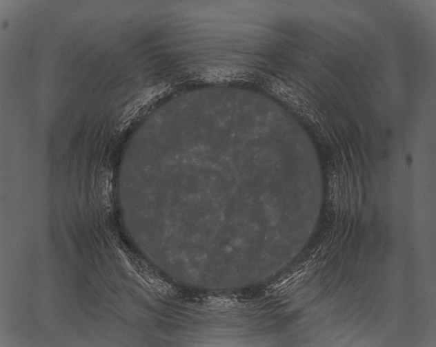 X0000062630592200601111102