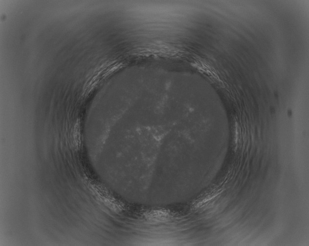 X0000062630594200601111102