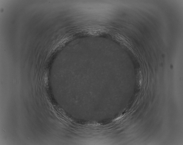 X0000062630595200601111102